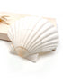 white scallop seashell for candles, jewellery holder, decor, craft projects